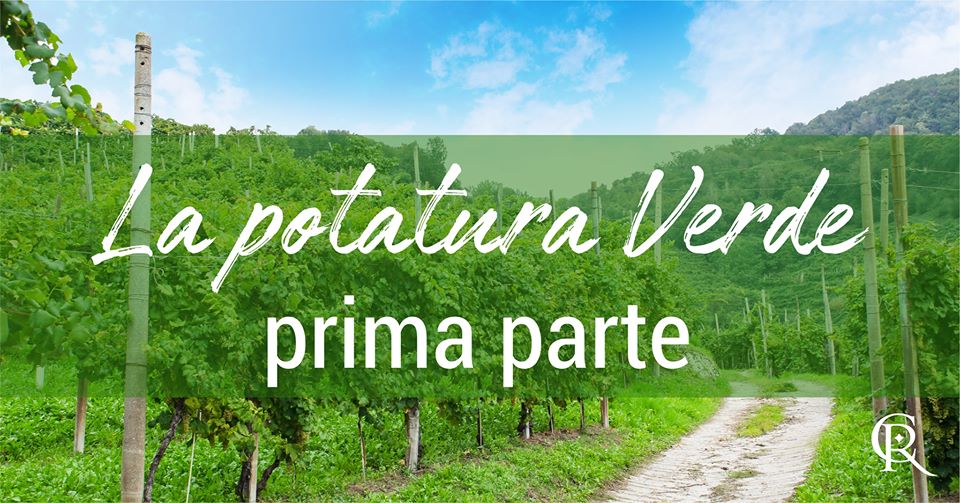 le prime tre fasi della potatura verde